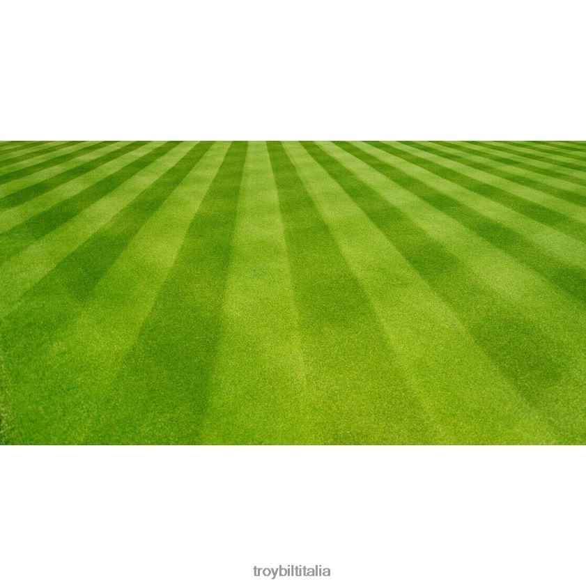 allegato| Troy-Bilt kit di tracciatura per tosaerba a taglio largo da 28 pollici X8F62H195