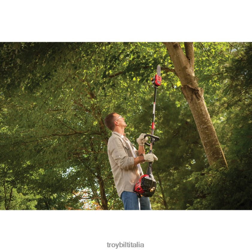 allegato| Troy-Bilt Sega ad asta aggiuntiva trimmerplus ps720 X8F62H69