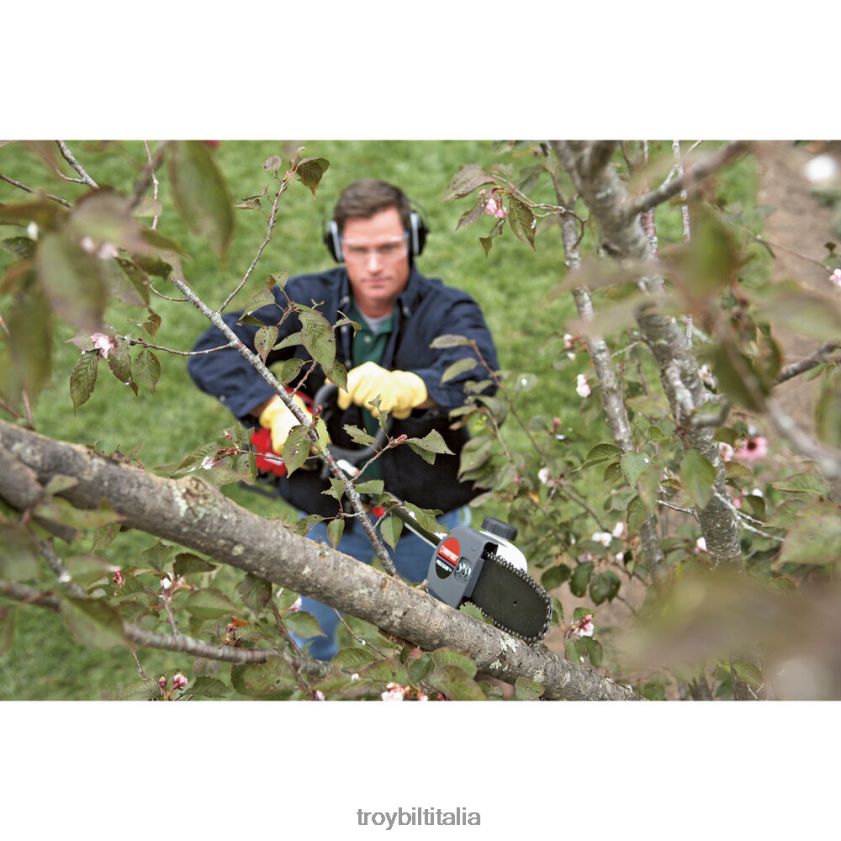 allegato| Troy-Bilt Sega ad asta aggiuntiva trimmerplus ps720 X8F62H69