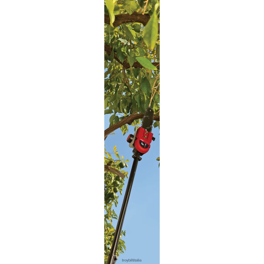 allegato| Troy-Bilt tpp720 trimmerplus sega ad asta aggiuntiva X8F62H123