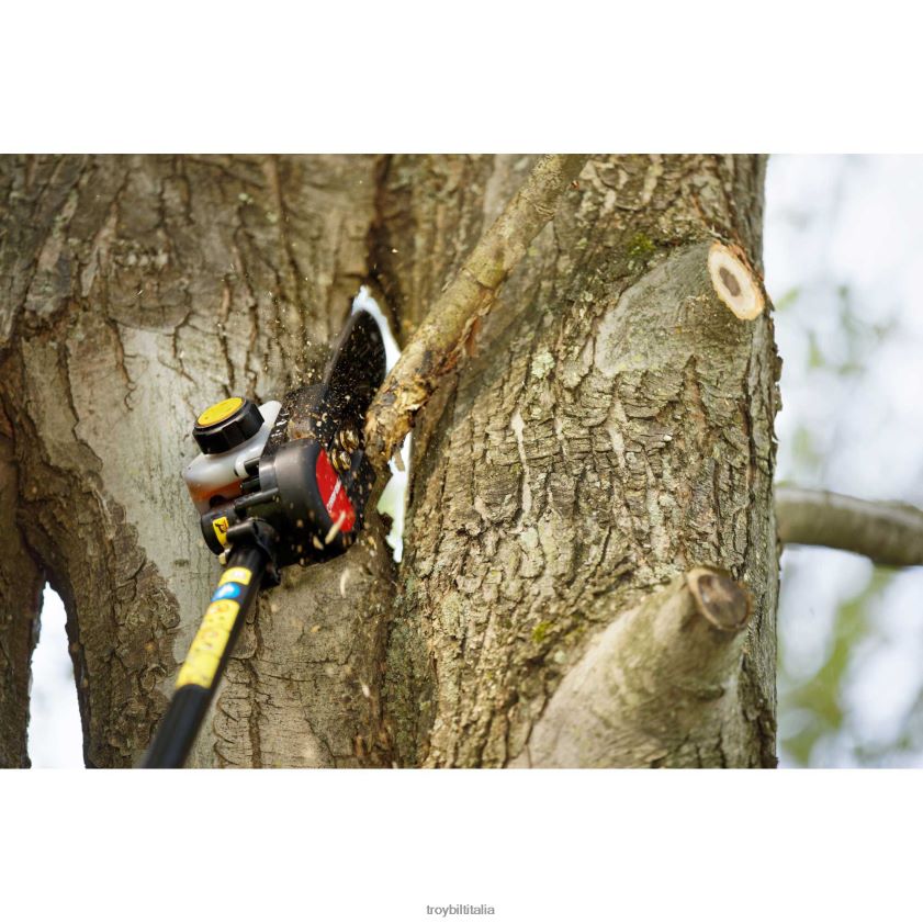 strumento da giardino| Troy-Bilt Sega per aste a gas tb25ps 25cc 10'' X8F62H115