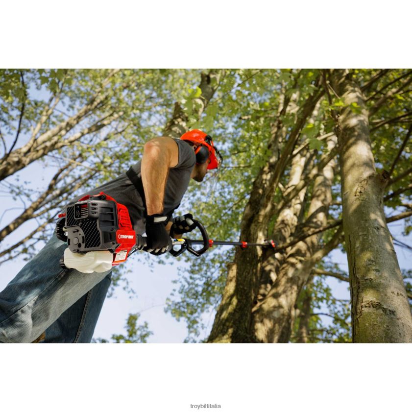 strumento da giardino| Troy-Bilt Sega per aste a gas tb25ps 25cc 10'' X8F62H115