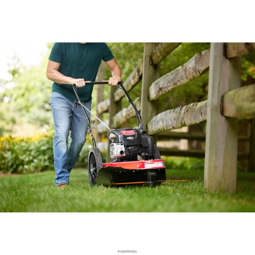 strumento da giardino| Troy-Bilt Tagliaerba tagliaerba tb22tmb X8F62H90