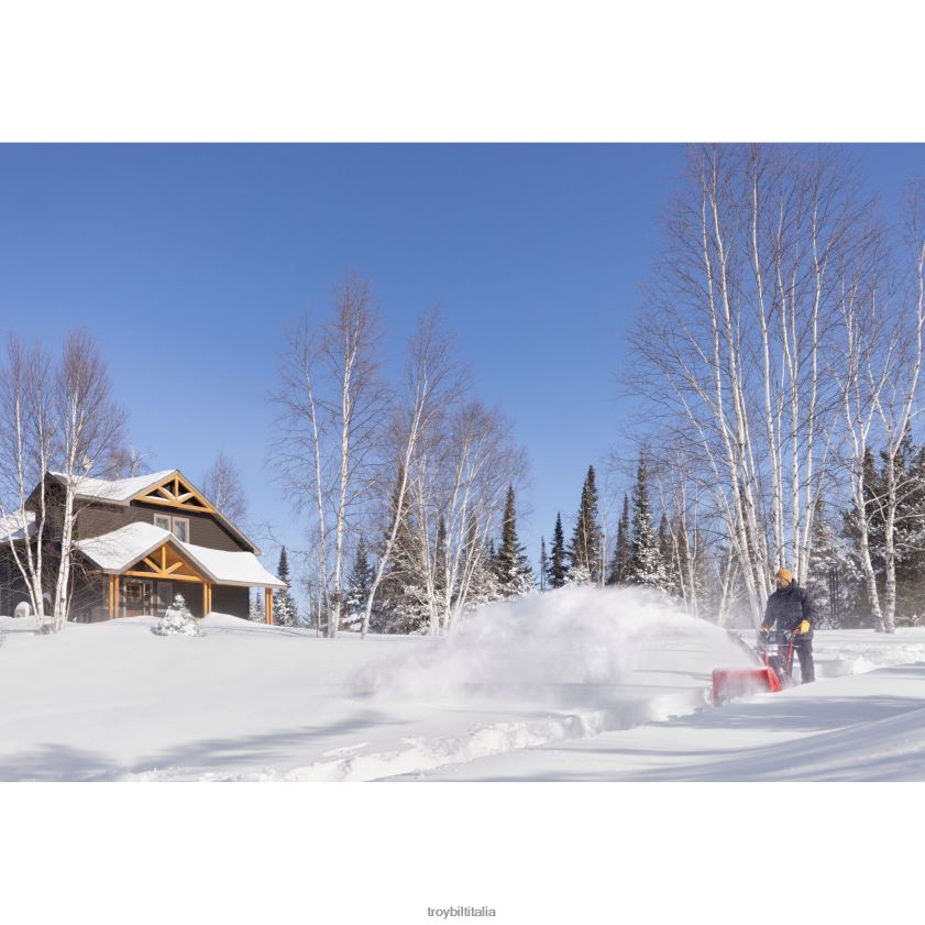 spazzaneve| Troy-Bilt spazzaneve Storm 2890 X8F62H116